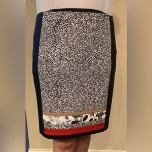 WHBM dress skirt.  Great condition.  Stretchy and comfortable